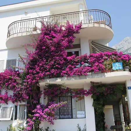 Apartment Milena & Ante